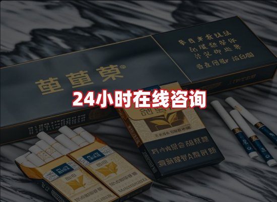 专业团队